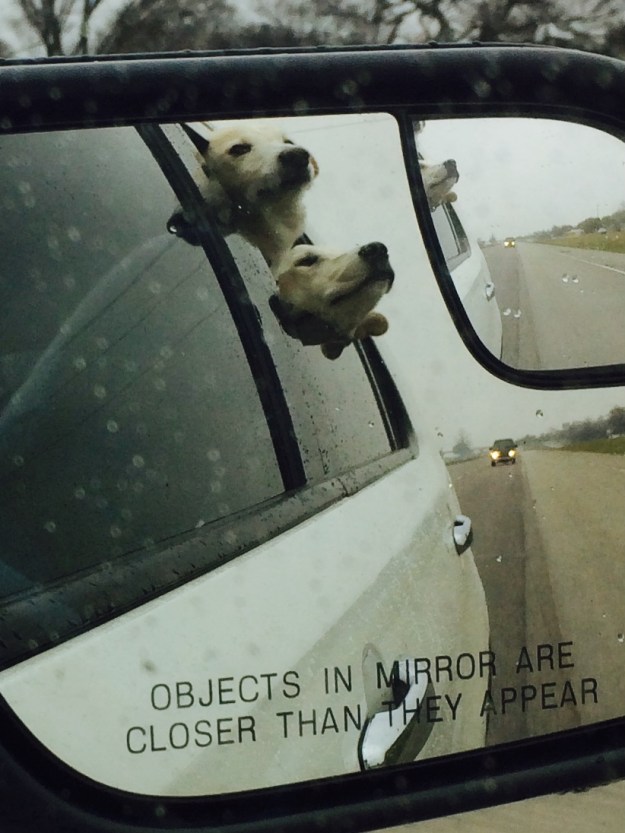 Weekly Photo  Challenge: Reflections