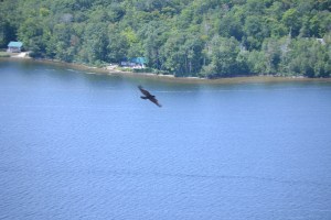 Silence Rock Candy Mountain