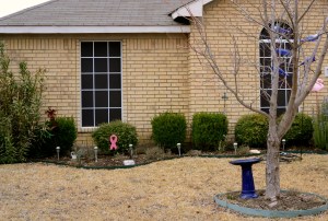 Front flower bed