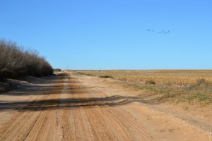West Texas Dirt Road