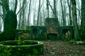 Copyright - Rachel Bjerke