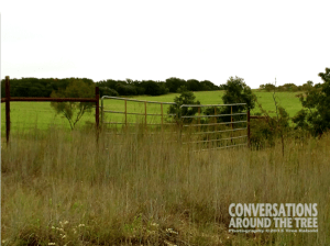 Mineral Wells, Texas