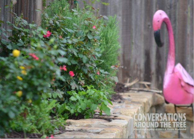 Flamingo overlooks the flowerbed
