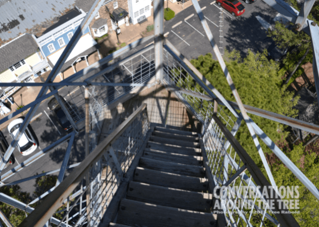 Looking back down the stairs