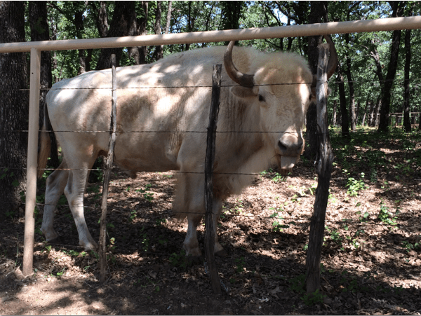 Is he sticking his tongue out at me?!