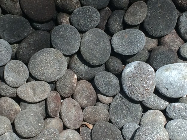 rocks