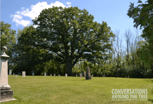 Lyon's Creek Cemetery - Niagara Falls Canada