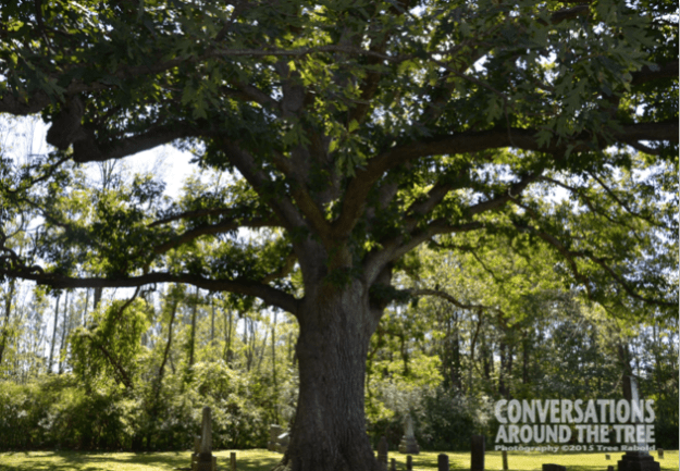 Lyon's Creek Cemetery - Niagara Falls Canada