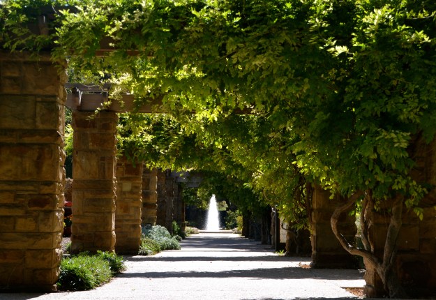 Fort Worth Botanical Gardens