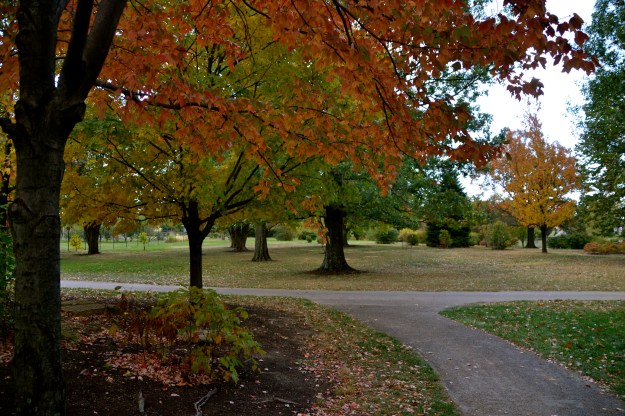 Cox Arboretum - Dayton OH