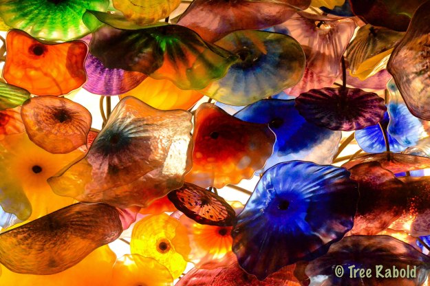 Chihuly2